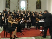 Sophia - Greenwich Choral Society Concert