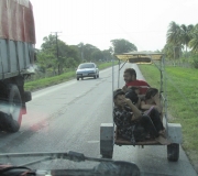 Go-Kart vs. Bus and Truck