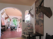 Museo Hemingway - a Hall of Trophies
