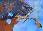Spotted Leaf, Blue Oil