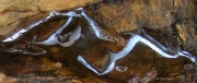 Maine, Oil Spill on Coastal Rocks