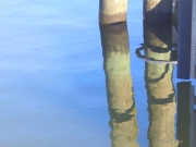 Pilings in Blue Oil