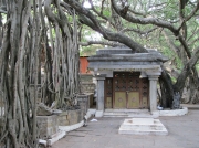 Outer Building  Kannataka Chitrakala Parishath, Bengaluru