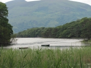 Lough Leane - Killarney National Park